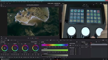 Davinci Resolve Panel