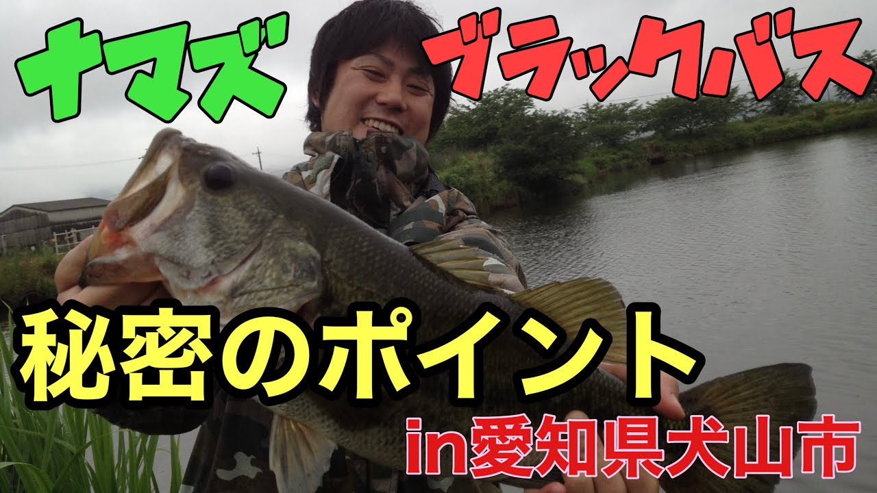 釣りナマズ ブラックバス 地元アングラーおすすめ 愛知県犬山市半之木川のポイント紹介 Youtube