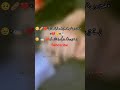 #1millionviews❤️‍🩹😭🫀 #trendingshorts #poetry #hearttouching #sad #sadstatus #sadpoetry #shortvideo