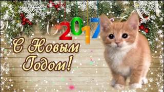 Милое поздравление С Новым Годом 2017 от котенка #3