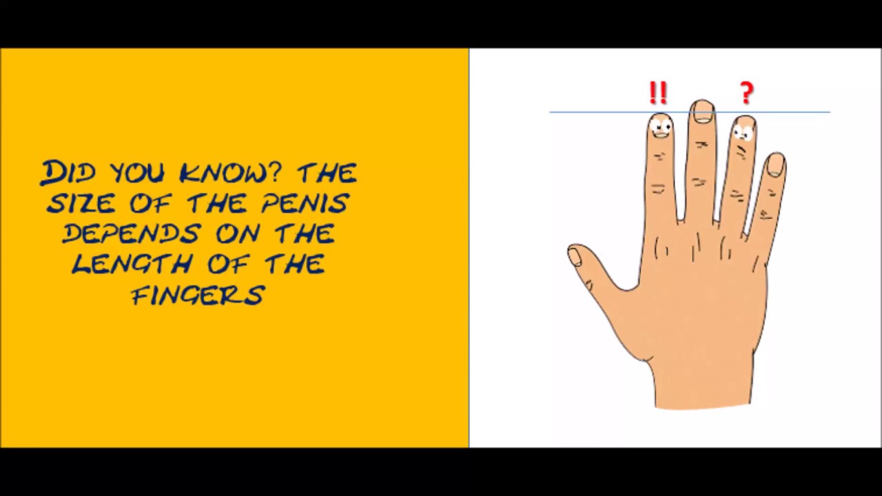 The size of the penis depends on the length of the fingers - YouTube
