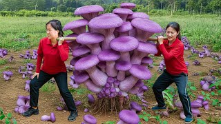 Harvesting 1000 Most Amazing Massive Winter RARE Unique Mushroom Transport Go to Market Sell