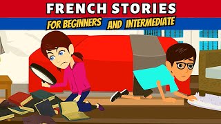 Top Short Stories for Learning French for Beginners and Intermediate