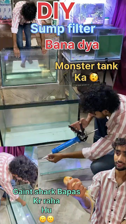 Monster tank ME SUMP filter bana dya  /How to make DIY SUMP filter at home 🏠 #explore #viralshort