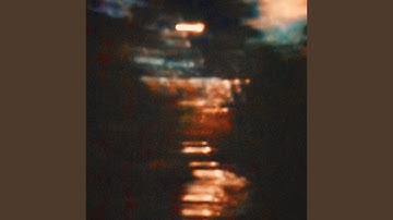 Counting Pineneedles