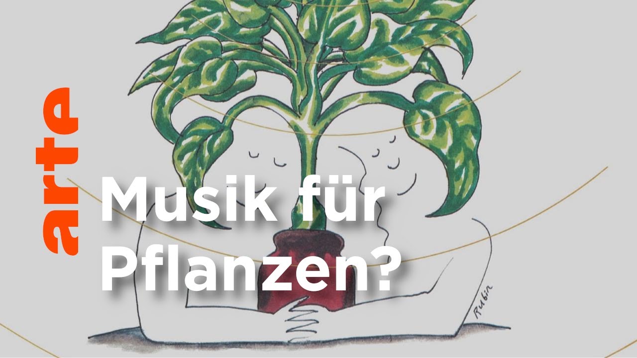 Mögen Pflanzen wirklich Musik? Kultur erklärt Flick Flack ARTE