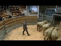 Ref:bQyLllTc1W8 Le march aux bestiaux de st-christophe-en-brionnais tourne au ralenti