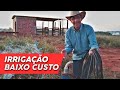 Como fazer uma IRRIGAÇÃO de BAIXO CUSTO.(passo a passo) em pequena propriedade!