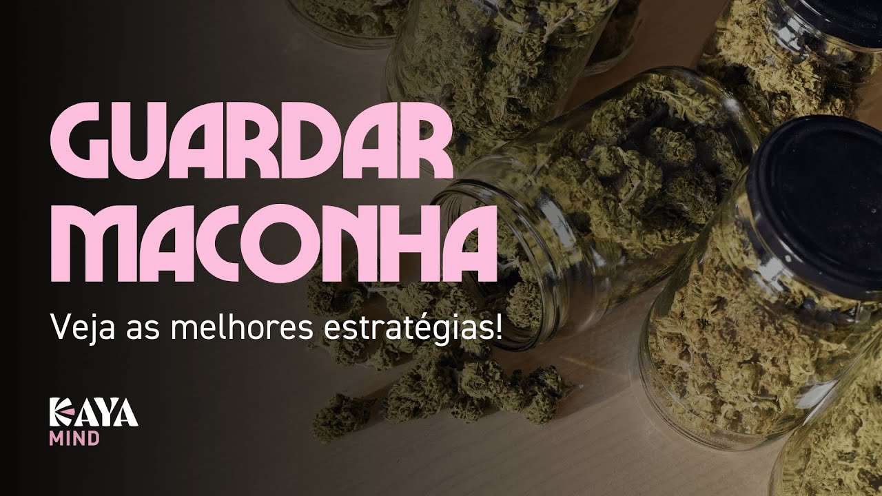 Como guardar maconha do jeito certo: dicas para conservar sua planta
