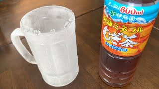 キンキンに凍ったジョッキで伊藤園健康ミネラル麦茶をがぶ飲み！