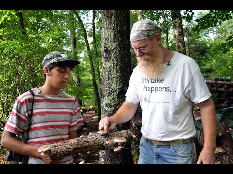 BOOKER TRAVELS - North Carolina: The Mushroom Man