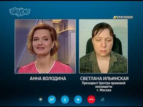 центр правовой зоозащиты. кулагин центр правовой зоозащиты. вера короткова псков зоозащита. центр правовой зоозащиты. ирина новожилова президент центра защиты прав животных вита.