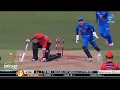 Adil Rashid's 16 wickets in the Big Bash 2016