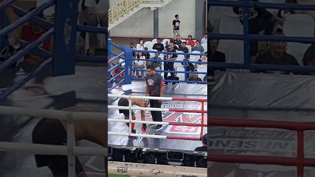 Ternyata ndlosor gpp kalah yg penting SDH berani diatas ring