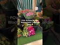 Minus 50€ für ein bisschen Kuchen, paar Blumen und Spargel 🫣