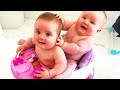 Cutest Chubby Baby Twins Playing Together  - Cute Baby Video