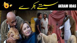 Saste Bakry | Akram Udas New Best Comedy Video 2026 | @AkramUdasOfficial