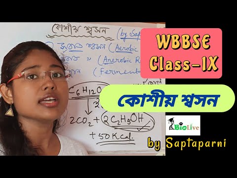 ভিডিও: 9 ম শ্রেণিতে সাহিত্যে কি কাজগুলি পড়াশুনা করা হয়