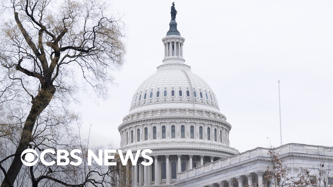 House committee holds hearing on Minnesota fraud | full video