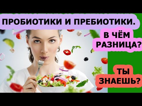 Правильное питание Пробиотики и пребиотики в чем разница Продукты с пробиотиками