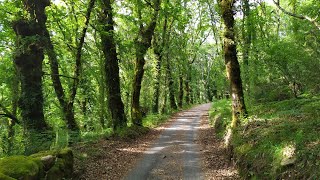 Serra do Xurés (Grou, Ourense, Galiza) Baixa Limia Parque do Xurés.