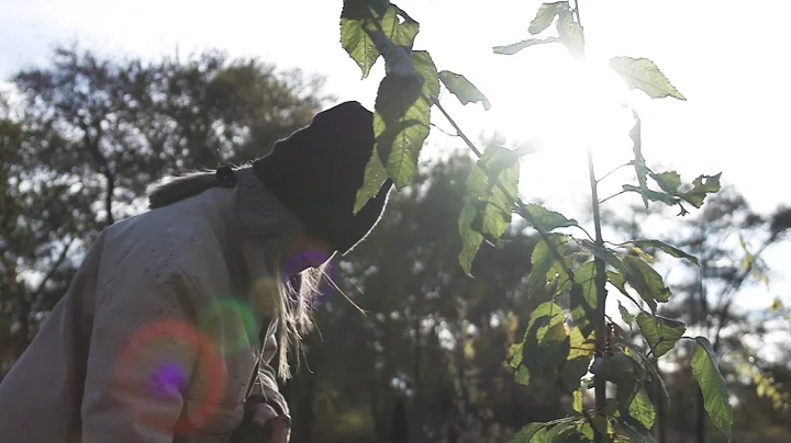 Alternative Futures: Frances Whitehead | A Blade o...