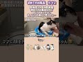 保護後初めてのお風呂で大変な事に…初めてのお風呂パート2 #保護猫 #cat