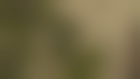 COMMANDOS - Behind Enemy Lines - The Driver get tank and k.i.l.l them all