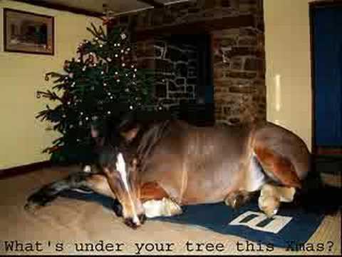 merry christmas to the horses youtube merry christmas to the horses youtube