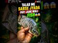 😱Talab me sabse jyada payi jane wali fish 🎣‼️✅#shorts #viral #youtubeshorts #viralvideo#fish #sea
