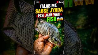 😱Talab me sabse jyada payi jane wali fish 🎣‼️✅#shorts #viral #youtubeshorts #viralvideo#fish #sea