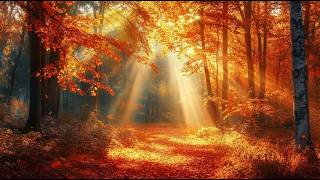 Herfst Droom(Autumn Dream) Piano/Abraham Mulder @abrahammulder