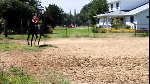 Meaghan Tvedt - Demonstration Video