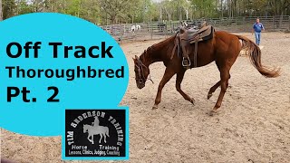 Off Track Thoroughbred Evaluation Ride. Bit his owner Part 2