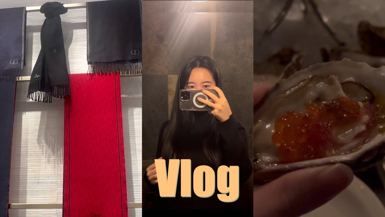 직장인 Vlog | 회사 그냥 버티는거야 | 디올 맨즈 머플러 선물 | 펄쉘 청담 오이스터 | 샤블리 와인 | 대전 성심당 | 캐논