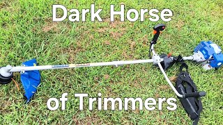 Will This Amazon Weedeater  Outperform Name Brand? Unboxing/Review