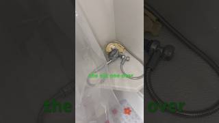 Installing New Shower Head as a First Time Homeowner (Part 1)