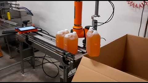 AUBO i10 cobot palletizing cans - Lead Robotics
