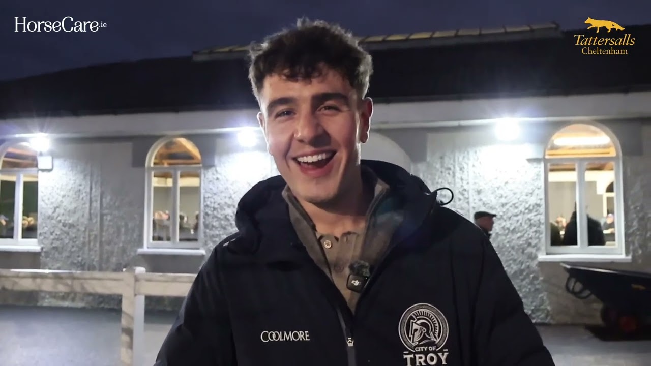 Лот 428, сын Кристал Оушен, продан за 135 тысяч евро Чарльзу Шанахану