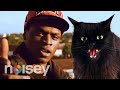 The Rapper Who ‘Turned into a Cat’