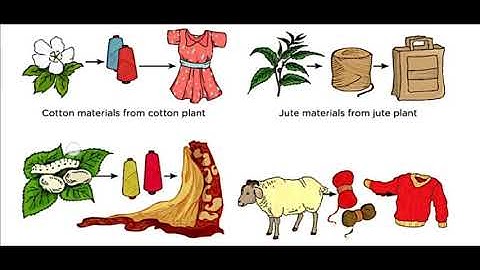 Class 4th Subject Science ch 8 part 2 by ANUJ YADAV SIR 19 9 20
