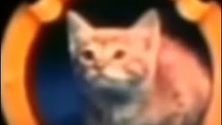 Mtm Productions Intro