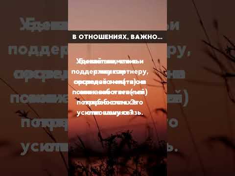 28 # Отношения, счастье и успех: советы, которые работают.