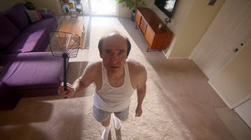 Why is it So Hard to Swat a Fly? - The Quick and the Curious