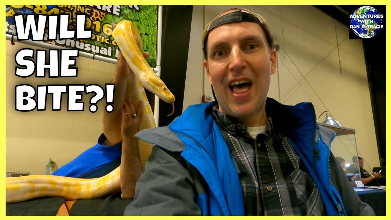 REPTICON: The Most Beautiful and Awesome Reptiles at the Reptile Expo