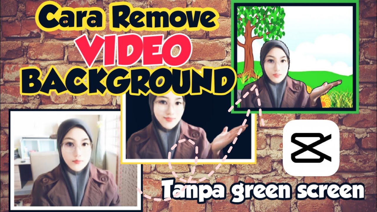 Tutorial Remove VIDEO Background | Without green screen | Using ...