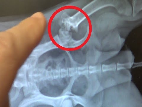 This Must Have Been So Painful! - This Must Have Been So Painful!