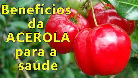 Quanto pode consumir de acerola por dia?