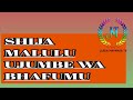 SHIJA MALULU UJUMBE WA BHAFUMU 0742938821 Msambazaji Jileka Mapanda TV 2026 