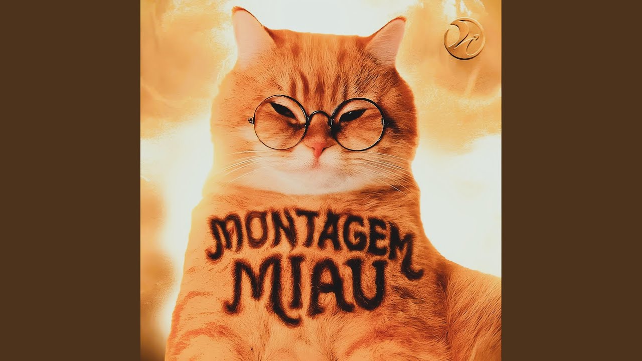 MONTAGEM MIAU (Slowed & Reverb)
